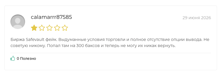 safevault отзывы