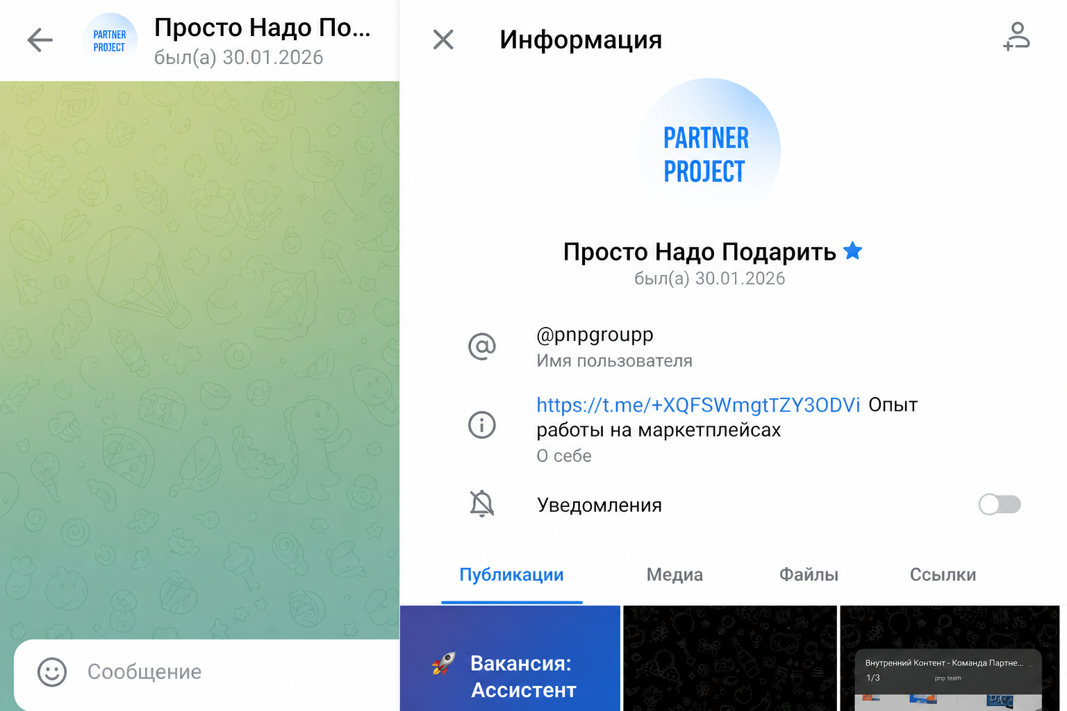Partner Project