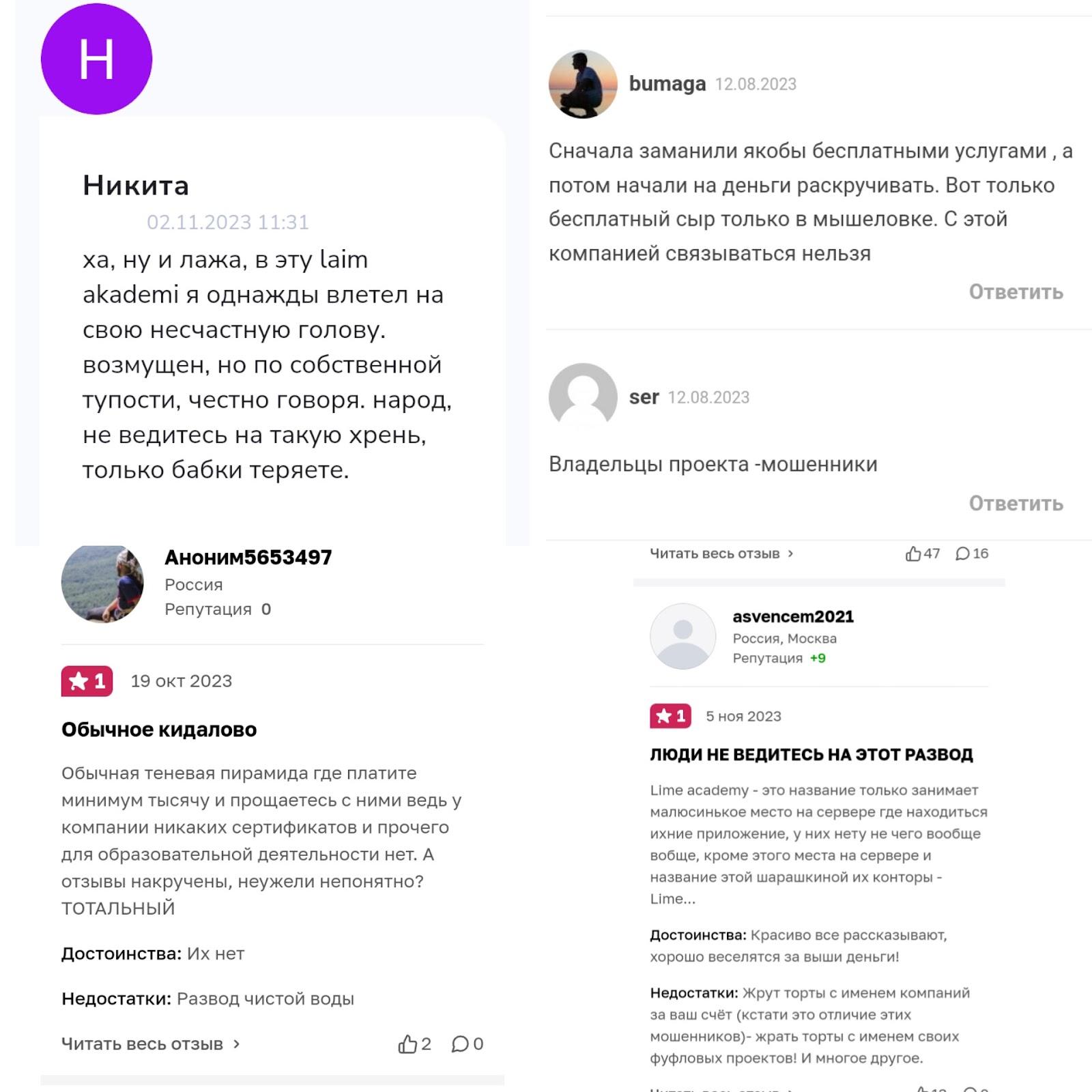 Лайм Академия