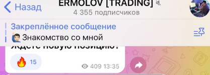 ermolov trading отзывы