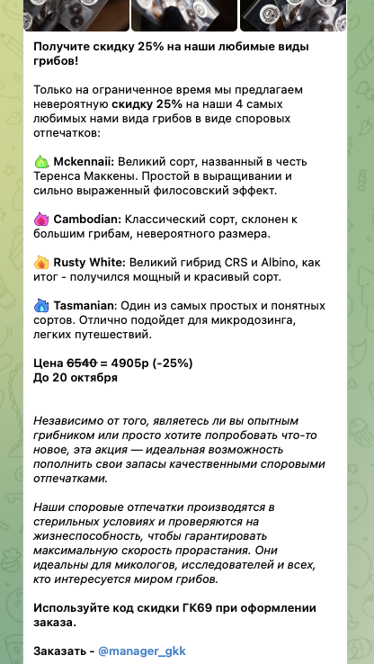грибная культура