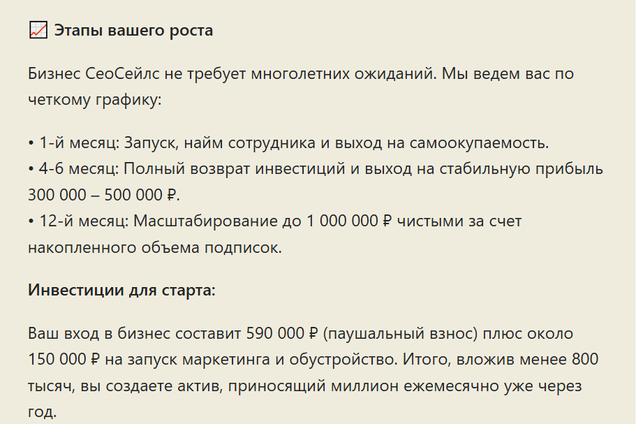 франшиза сео сейлс отзывы