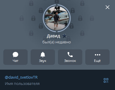 david svetlovtr