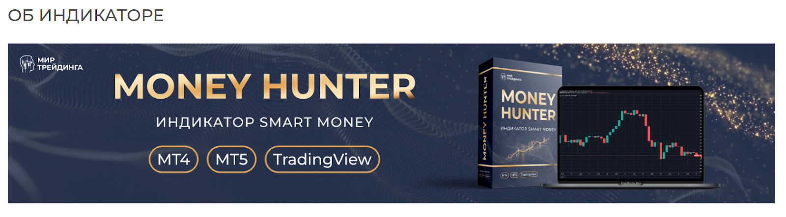 Money Hunter