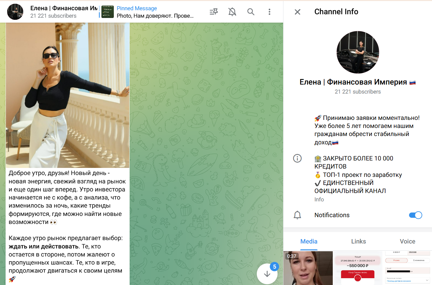 елена финансовая империя