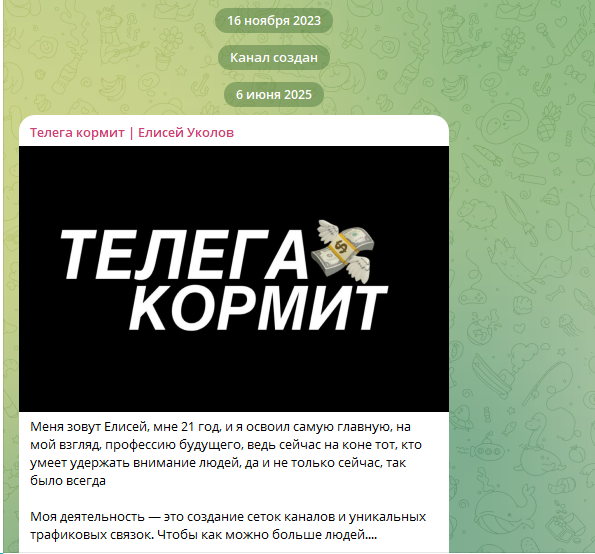 отзывы о телега кормит елисей уколов