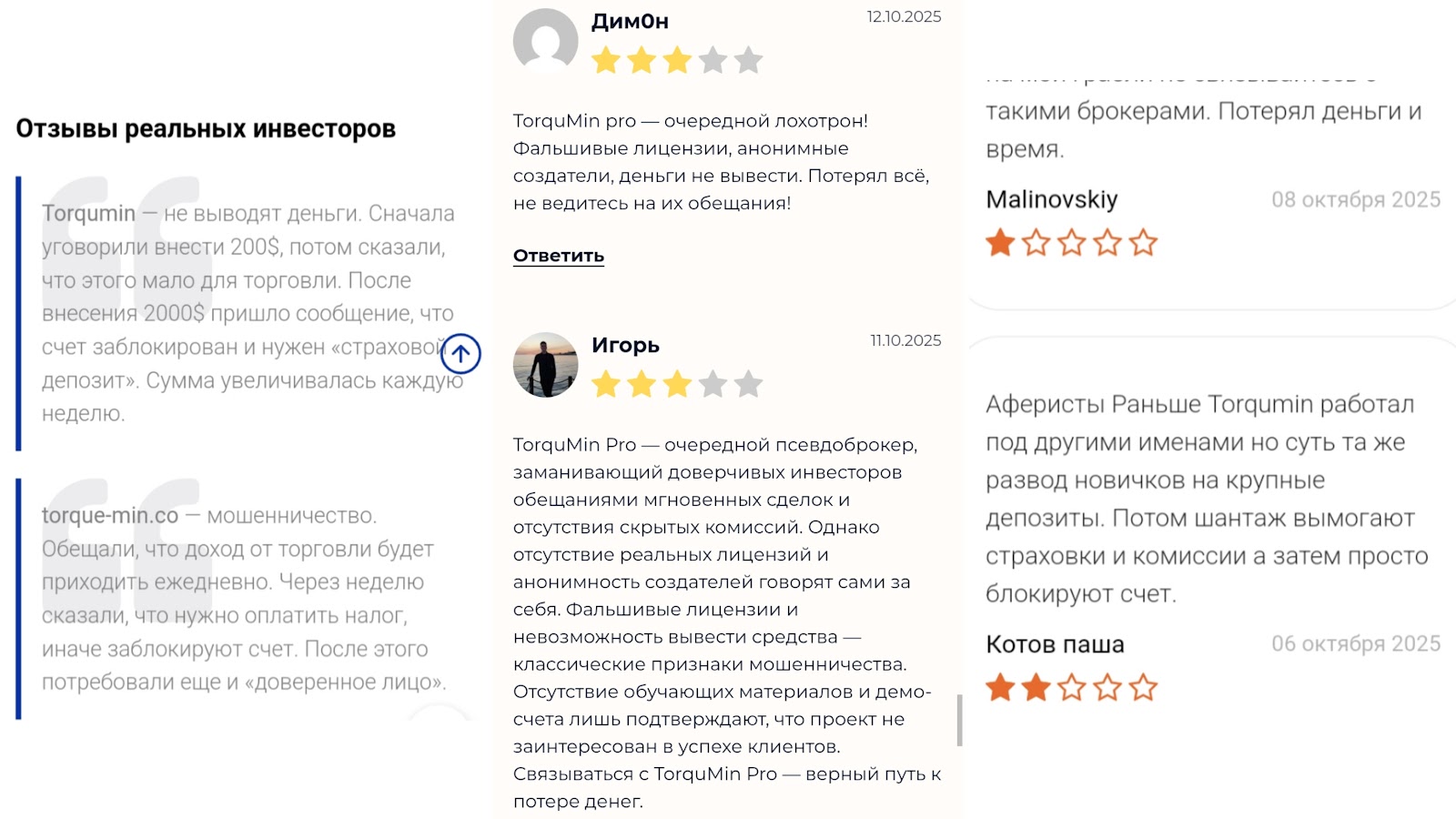 torqumin биржа