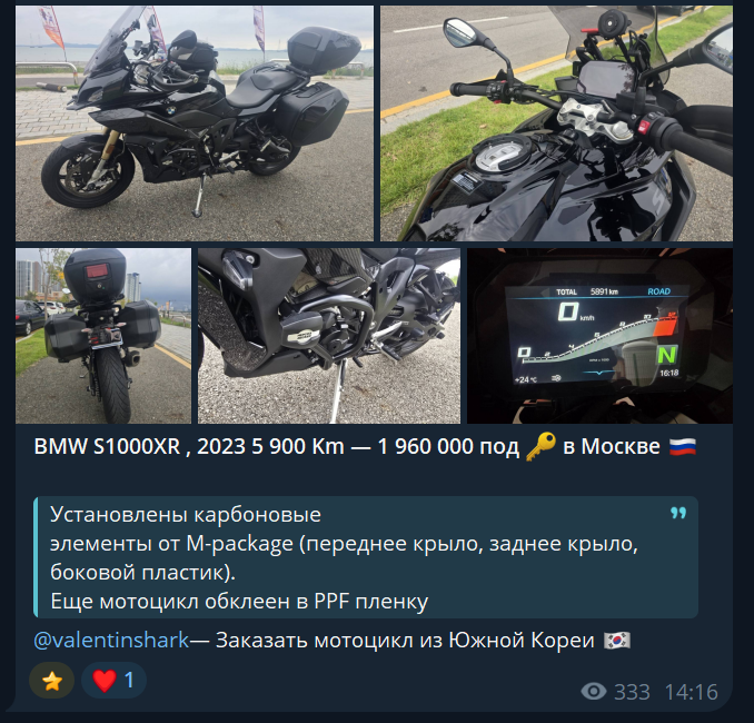 shark korea moto
