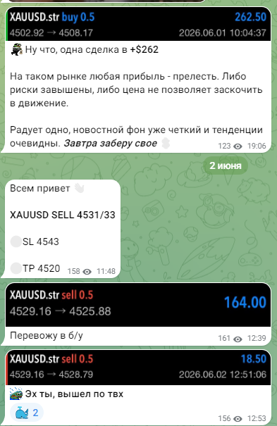 grizzly trade отзывы