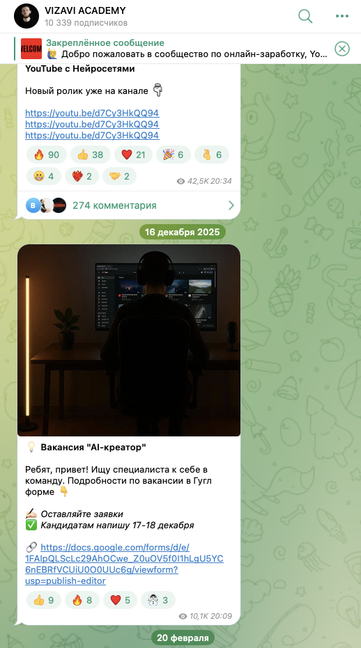 визави академия