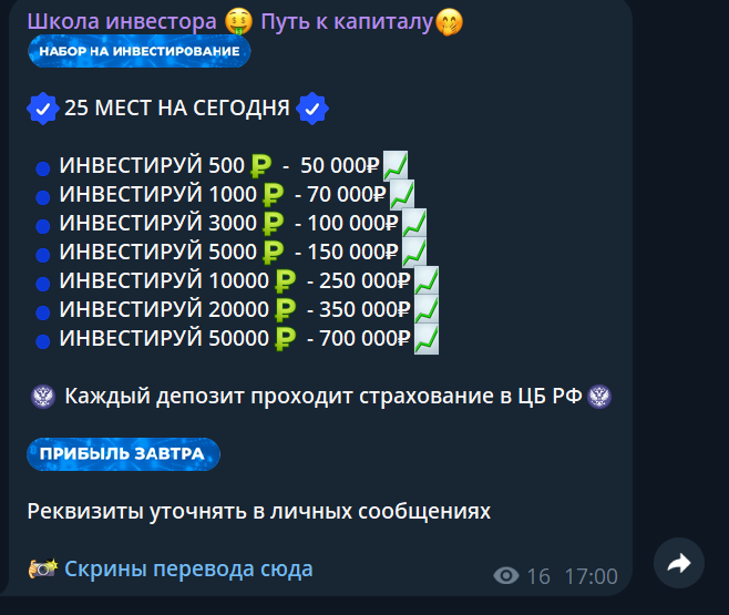 школа инвестора путь к капиталу