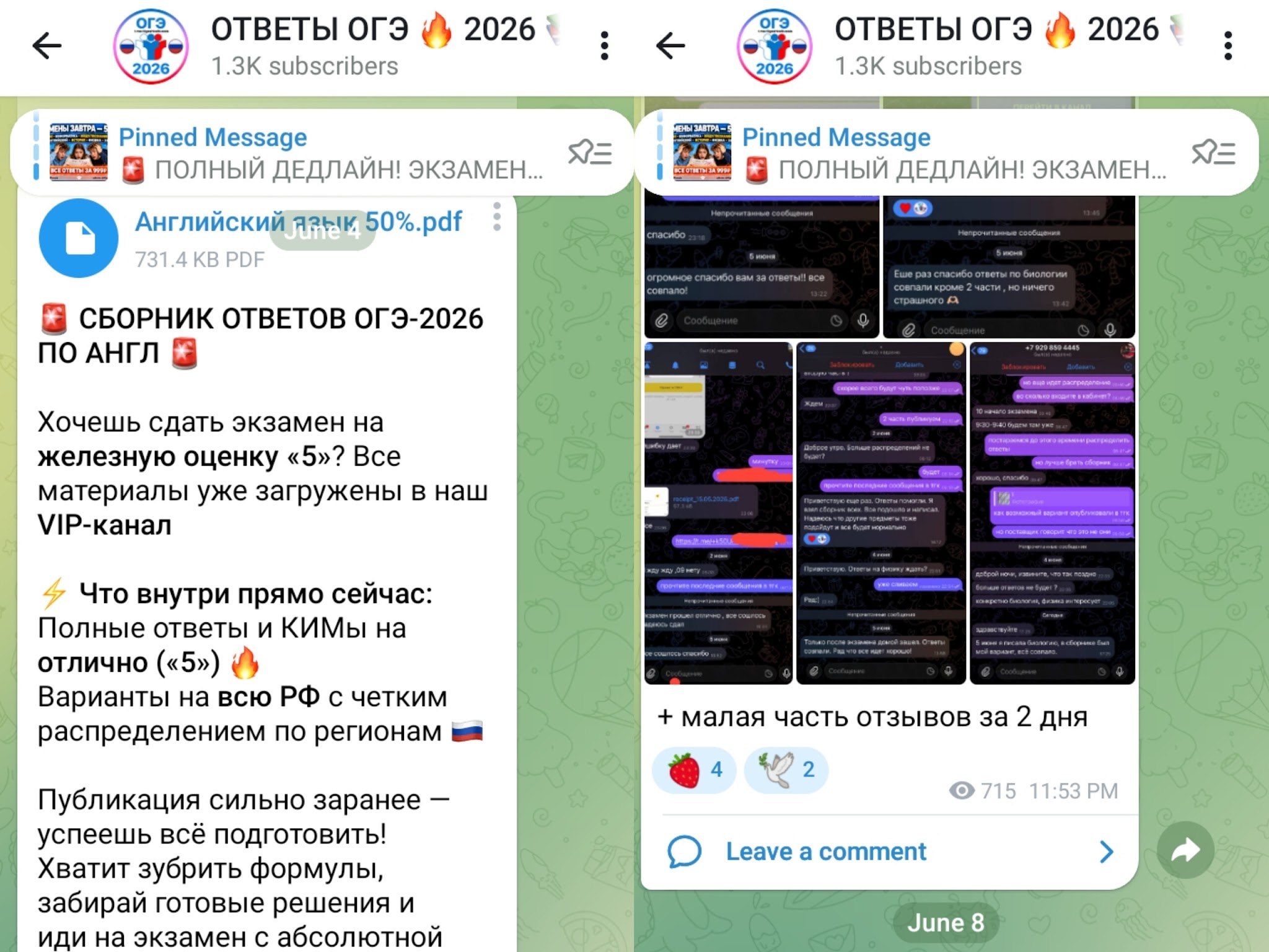 ответы огэ 2026 сайт тг ogeshka отзывы