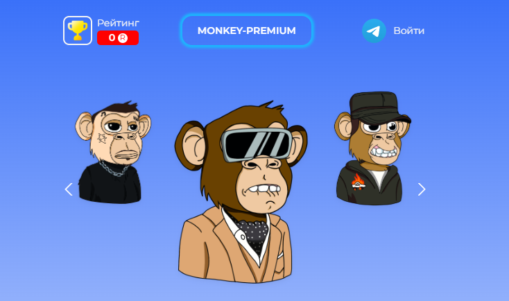 nft monkey live