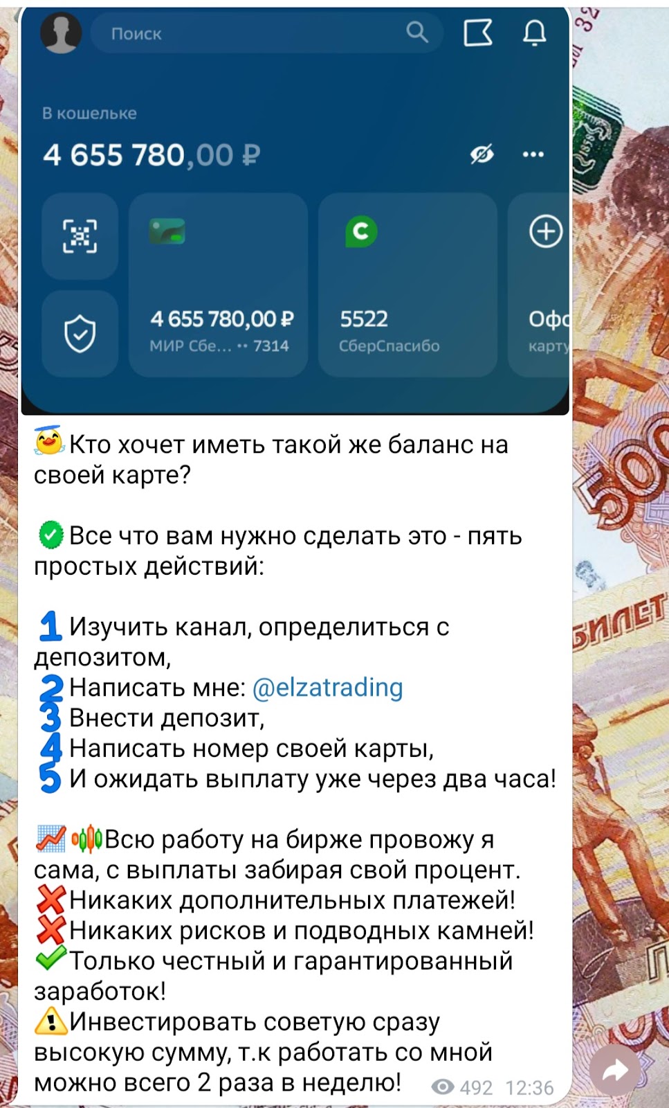 эльза трейдер телеграм
