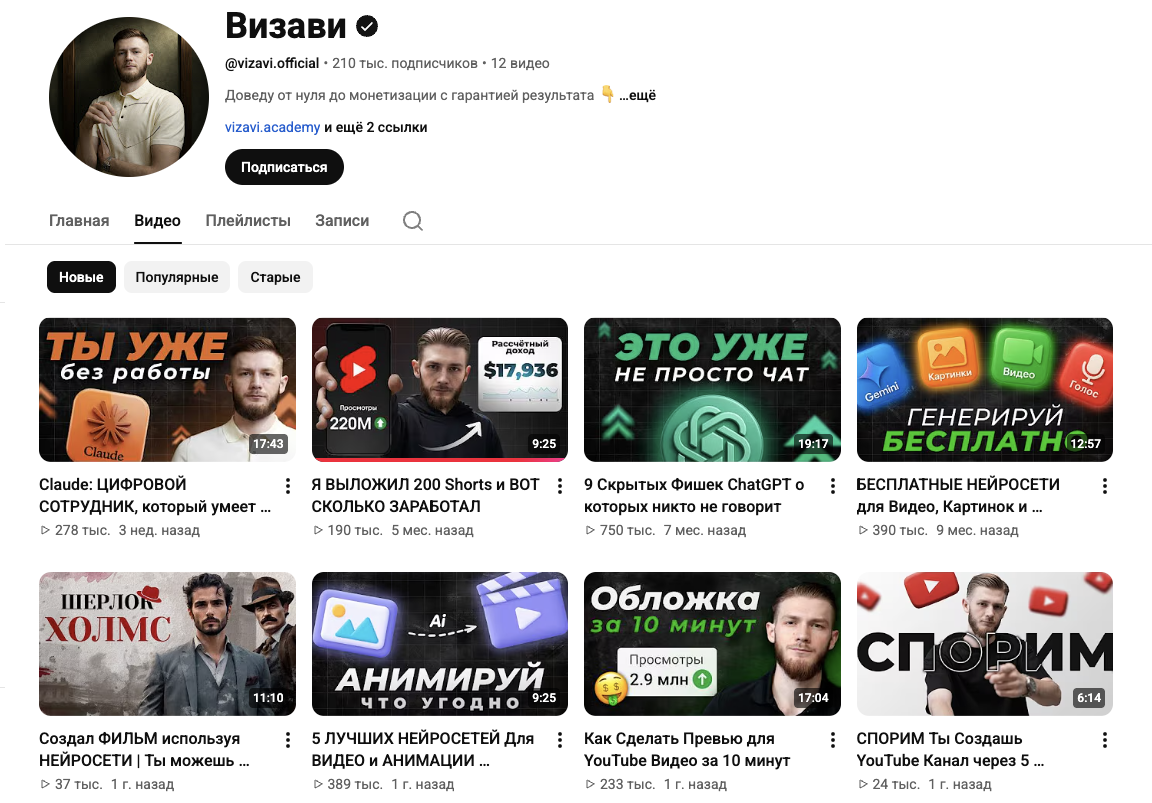 визави академия курс