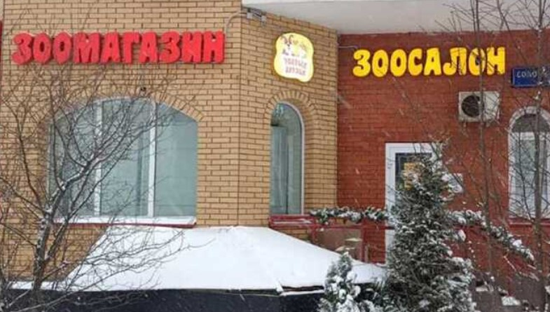 михалева надежда алексеевна мошенница банкротство
