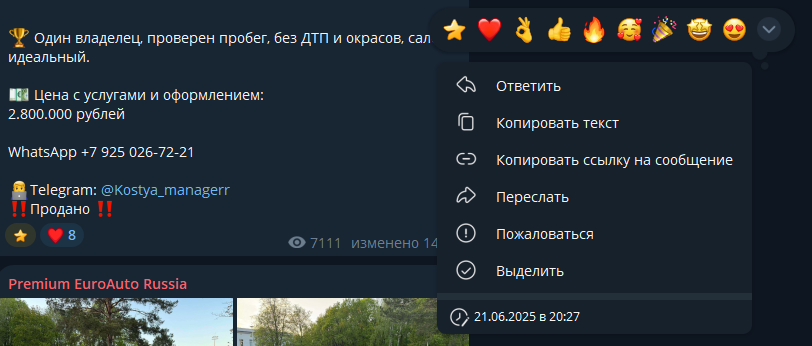premium euro auto russia