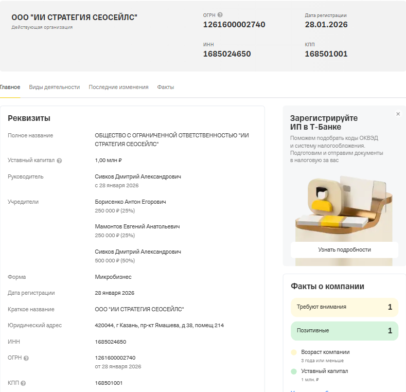 ооо ии стратегия сеосейлс
