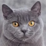 Аватар Призрак_в_сети
